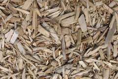 biomass boilers Ardmolich